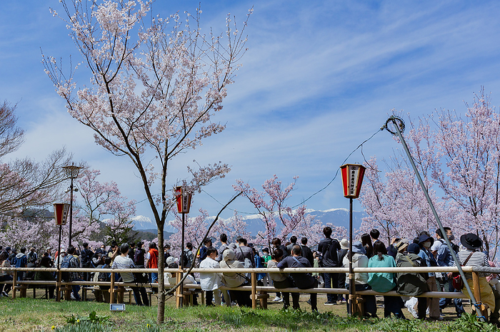 The Chuo Alps from Takato Joshi Park in spring