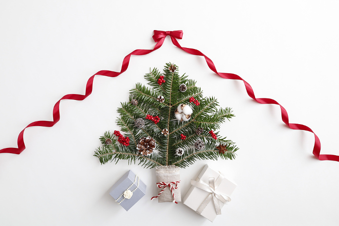 Christmas tree and gift box image white background red ribbon frame