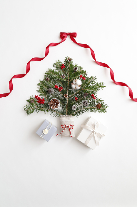 Christmas tree and gift box image white background red ribbon frame