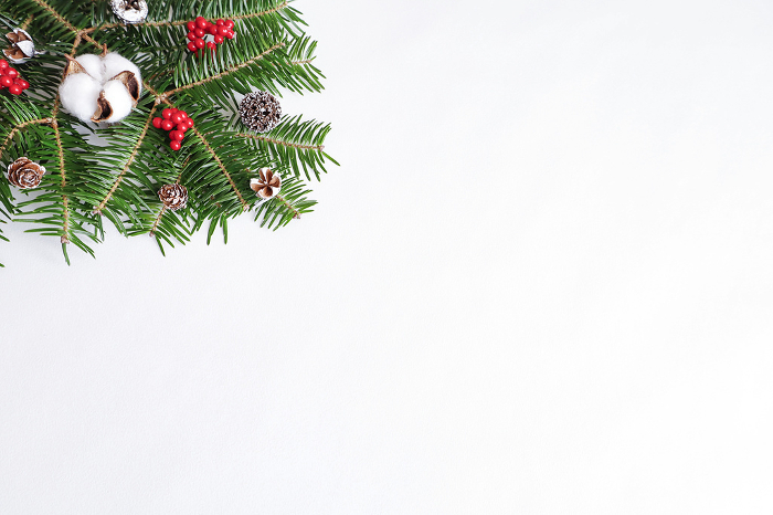 Image of Fresh Christmas Tree with Fir Trees and Berries White Background