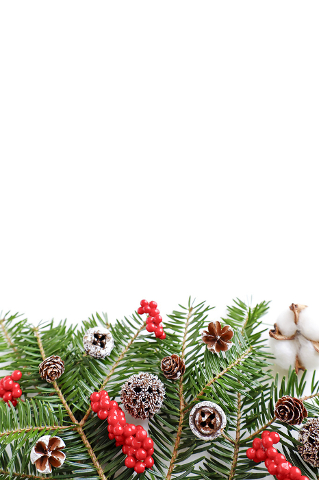 Image of Fresh Christmas Tree with Fir Trees and Berries White Background