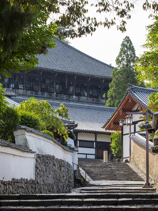 Scenery of the back approach to Nigatsudo Hall of Todaiji Temple