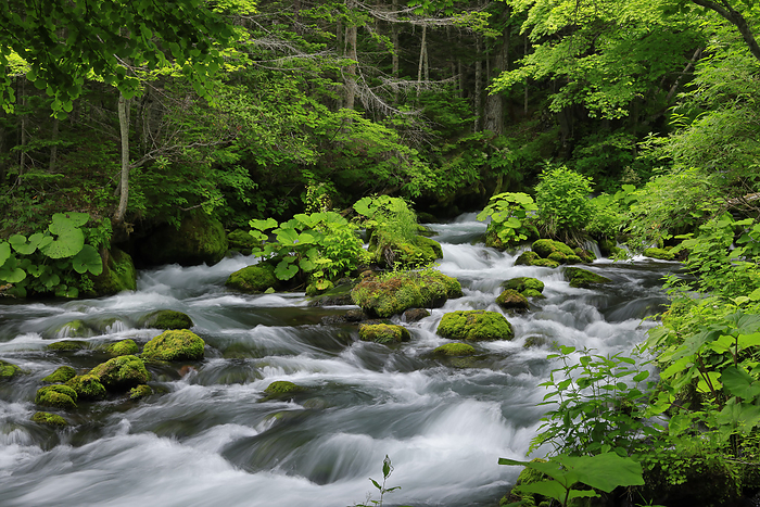 Streams of Akan River and fresh green Hokkaido
