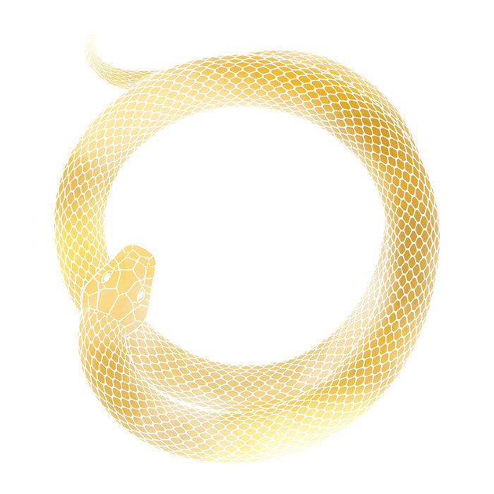 Clip art of golden snake coiling in the year of the snake_illpopularity for New Year's card