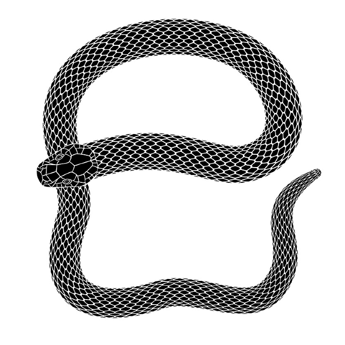 Snake silhouette illustration for New Year's card