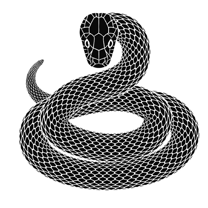 Silhouette illustration of a snake coiling in the year of the snake for New Year's card