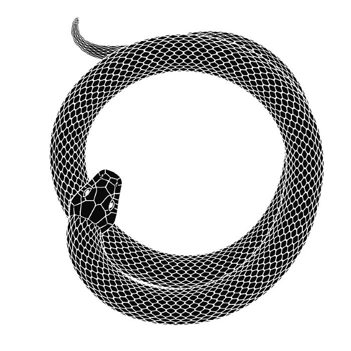 Silhouette illustration of a snake coiling in the year of the snake for New Year's card