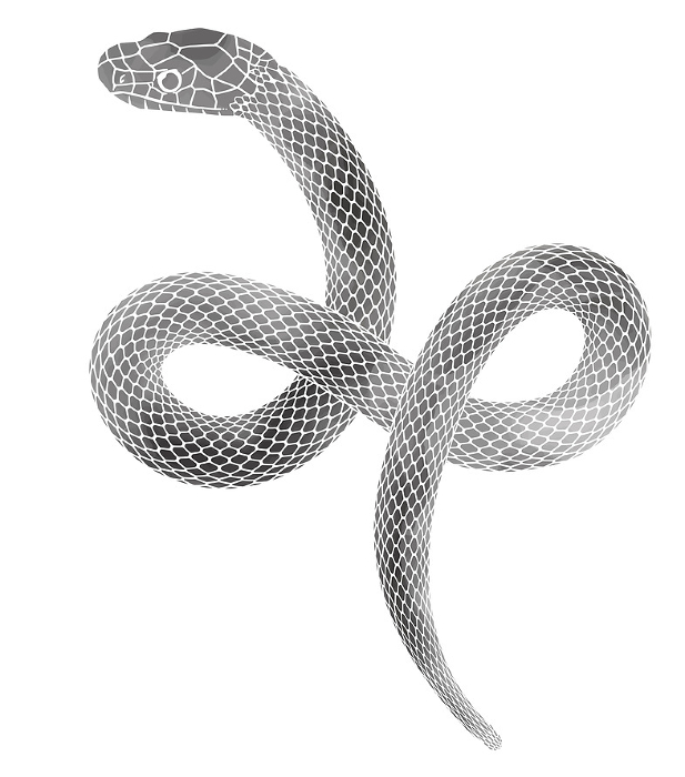 Clip art of snake in ink painting style for year of the snake for New Year's card