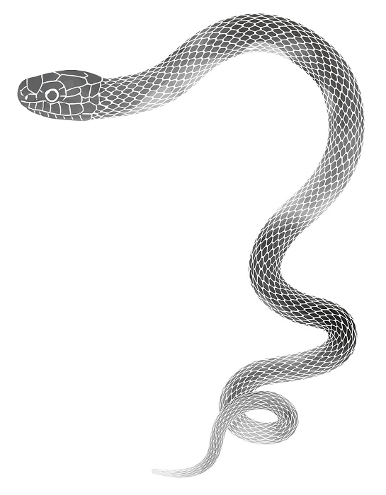 Clip art of snake in ink painting style for New Year's card