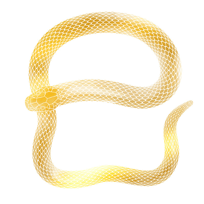 Clip art of golden snake in the year of the snake for New Year's card
