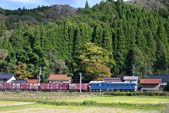 Freight train pulled by EF64 on Hakubi Line, Tottori Taken at Kamisuge Station   Ikusan Station