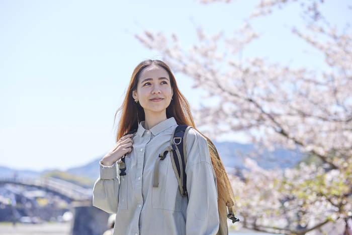 Inbound female tourists enjoying hanami