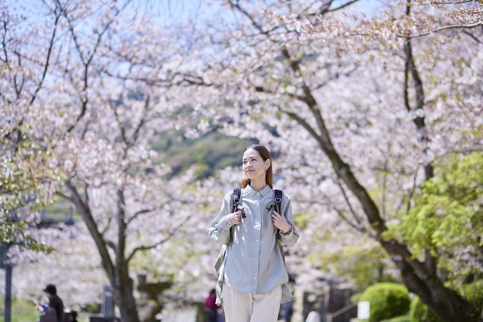 Inbound female tourists enjoying hanami