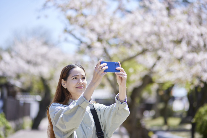 A foreign tourist woman takes a picture with her smartphone at a tourist attraction in spring