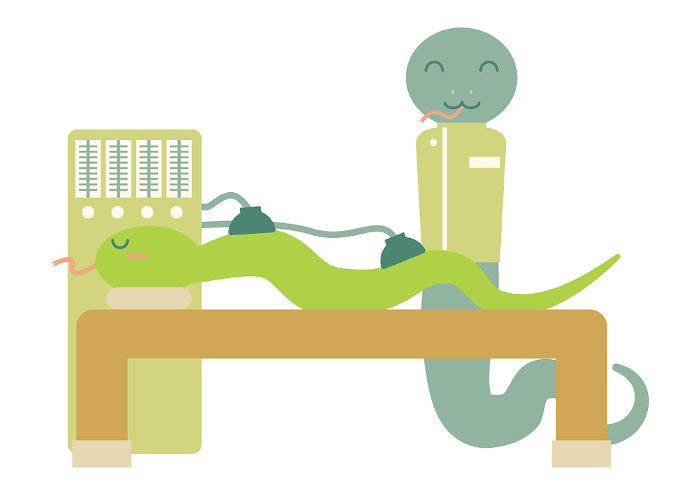Illustration of a snake performing a treatment at an osteopathic clinic, massage parlor, etc.