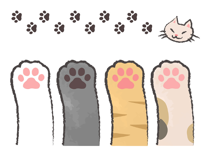 Set of paw prints and cat footprints
