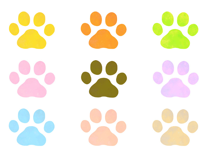 clip art of cute and colorful animal paw prints