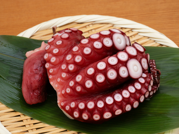 Steamed octopus for sashimi