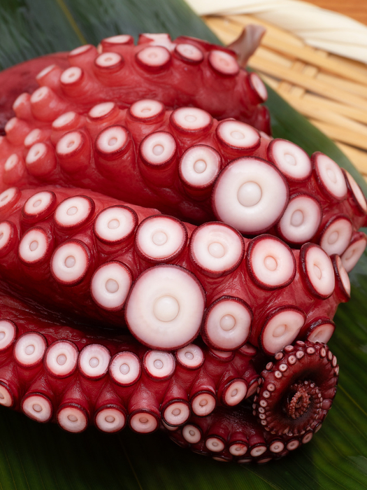 Steamed octopus for sashimi