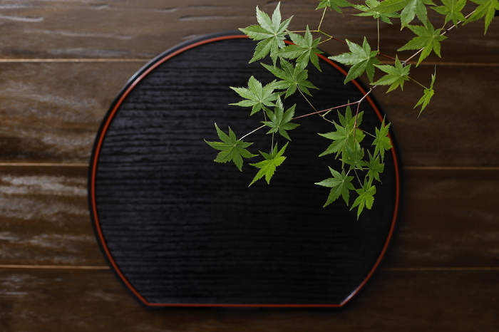 Green leaves and a half-moon tray: Japanese food image