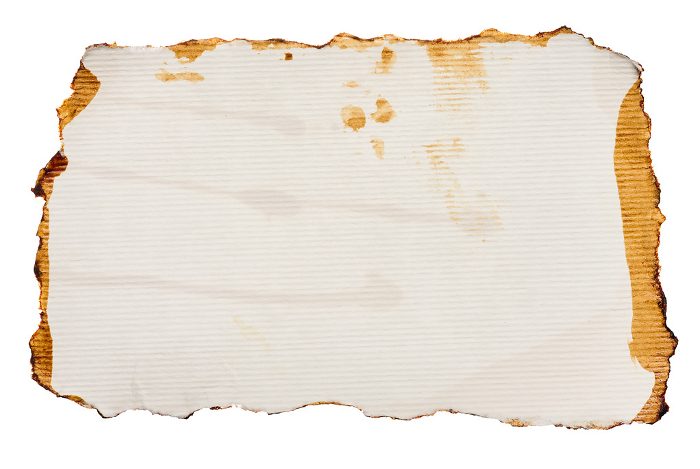 White torn piece of paper drenched in coffee on an isolated background White torn piece of paper drenched in coffee on an isolated background