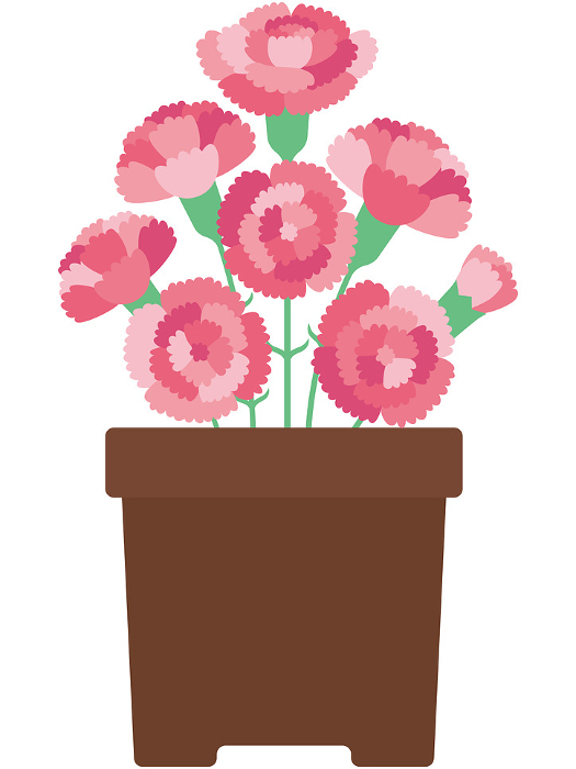 Clip art of carnation in flowerpot(no text)