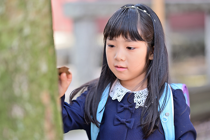 A girl looking at the bark of a zelkova tree at a shrine.