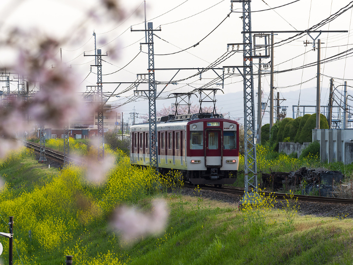 Scenery of the Kintetsu Domyoji Line with spring flowers
