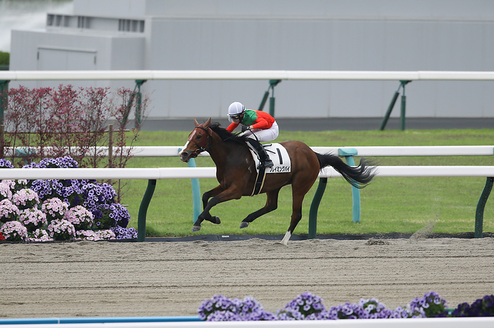 2024 3 years old, uncontested 2024 04 21 KYOTO 02R 3 year old, unraced Winner   5 favorite Flaming Pie Yuichiro Shibata Jockey  white cap   Kyoto Racecourse in Kyoto, Japan, on April 21, 2024.
