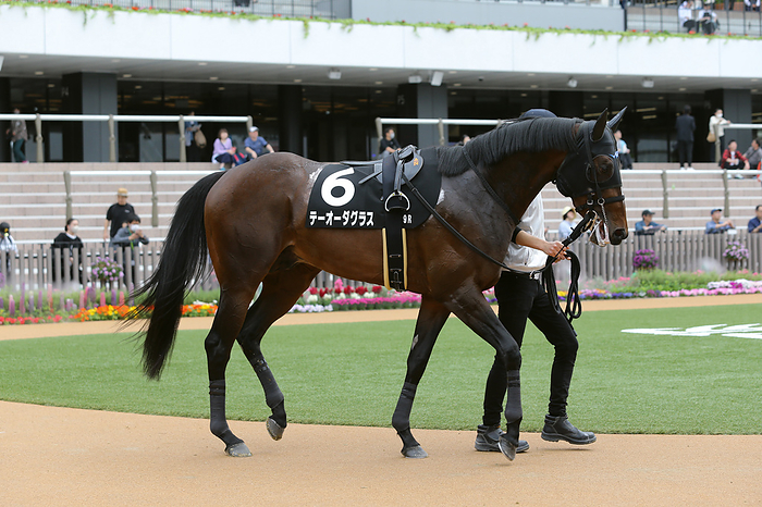2024 Ayame Prize 2024 04 20 KYOTO 09R Salaried 3years old 1 winner class Ayame Sho 3rd   4 favorite T O Douglas  Kyoto Racecourse in Kyoto, Japan, on April 20, 2024.