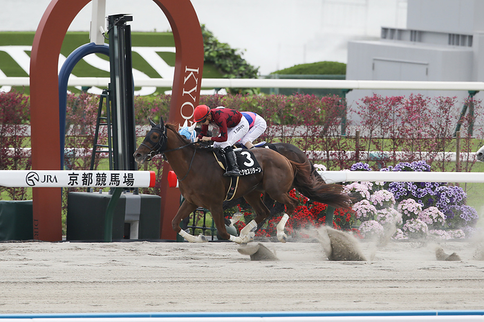 2024 Kangetsukibashi Stakes 2024 04 20 KYOTO 10R 3 win class for 4 year olds kangetsukyo stakes Winner   3 favorite Excess Return Taisei Danno Jockey red cap   Kyoto Racecourse in Kyoto, Japan, on April 20, 2024.