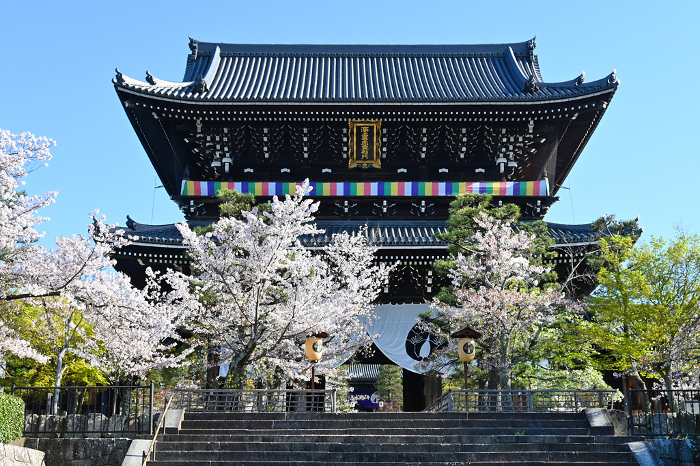 The huge gate of Konkai Komyoji Temple, Kyoto, looking up in spring.