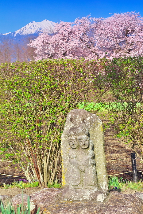 Azumino in spring Light blue time Dosojin, Mt. Tokonen and cherry blossoms Nagano Pref.
