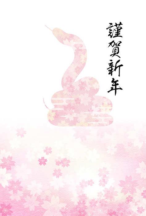 New Year's card for the year of the snake 2025, silhouette of a coiled snake and cherry blossom background