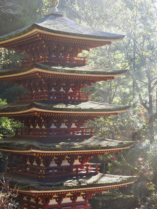 Five-story pagoda of Muroji Temple in the morning mist