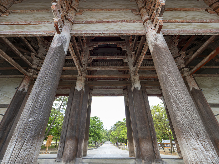 Nandaimon (South Gate) of Todaiji Temple looking up from below