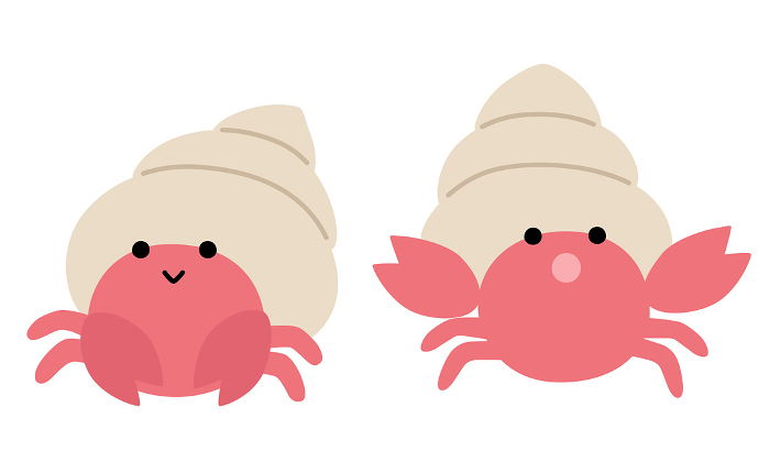 Vector illustration of two cute hermit crabs. Icons, sea, aquarium, fish