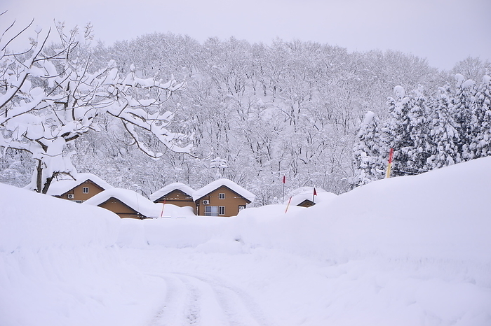 Ojiya Kleine Garten Snow Day