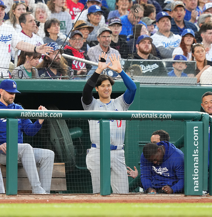 2024 MLB Shohei Ohtani  center  celebrates his teammate s extra base hit on the bench in the third inning of the Nationals Dodgers game, April 24, 2024 date 20240424 place Washington, DC, USA