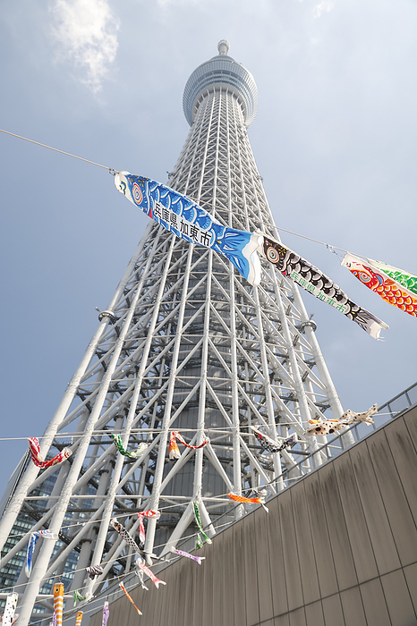 Carp Banners Decorations in Tokyo Skytree for Children s Day Celebration Colorful carp banners  Koinobori  are seen at Tokyo SKYTREE on April 25, 2024, in Tokyo, Japan. Every year, Tokyo Skytree decorates with colorful Koinobori streamers to celebrate Children s Day in Japan. In Japan, families with boys pray for the healthy growth and well being of their children. Children s Day is celebrated on May 5.  Photo by Rodrigo Reyes Marin AFLO 