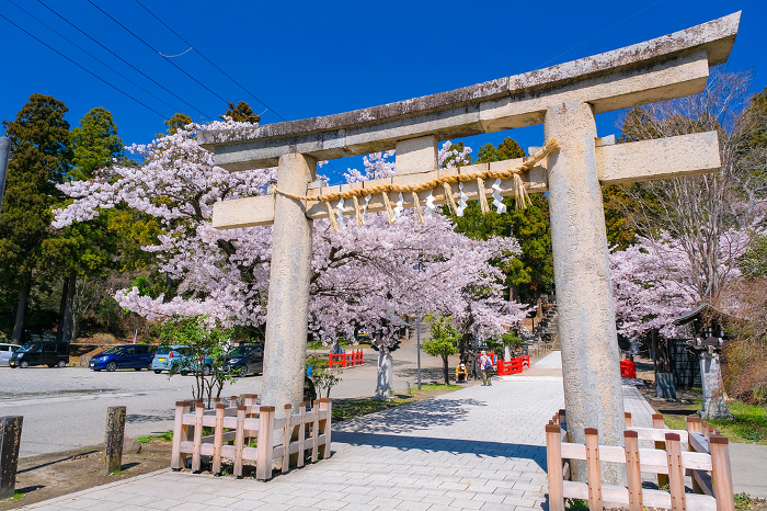 Sendai Toshogu Shrine Ishi-torii (stone gate) in spring, Sendai City, Miyagi Prefecture
