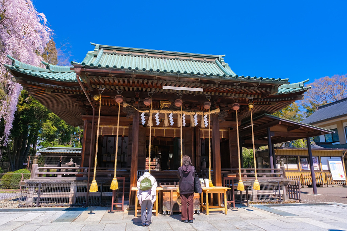Sendai Toshogu Shrine in spring, Sendai City, Miyagi Prefecture