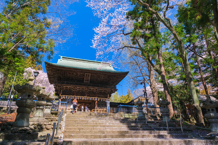 Zuishimon Gate of Sendai Toshogu Shrine in spring, Sendai City, Miyagi Prefecture