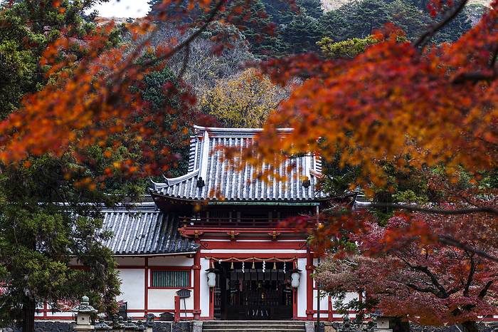 Tegozan Hachimangu Shrine in autumn foliage