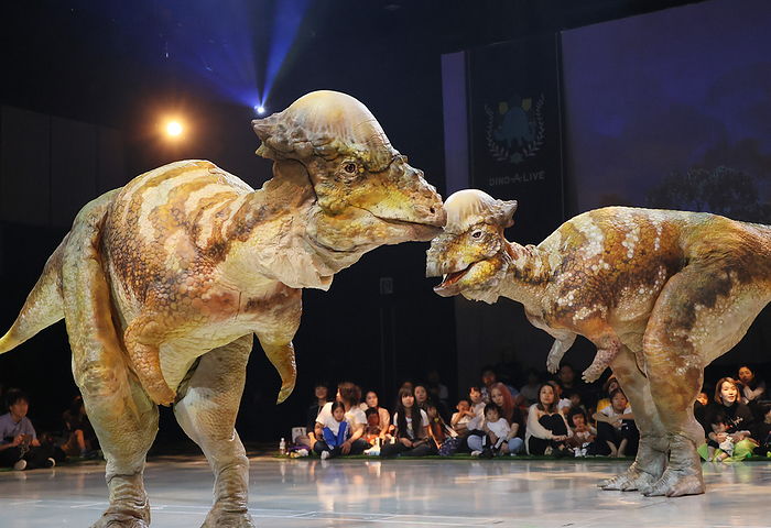 A dinosaur live show  Dino Safari 2024  is held for holidaymakers of the Golden Week April 26, 2024, Tokyo, Japan   Actors wearing dinosaur shaped mechanical suits perform at a preview of a dinosaur show   Dino Safari 2024  in Tokyo on Friday, April 26, 2024. A live show with dinosaurs will be carried for holidaymakers of the Golden Week from April 26 through May 6.       photo by Yoshio Tsunoda AFLO 