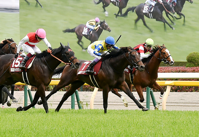 2024 Aoba sho  G2  Sugarkun Winner April 27, 2024 Horse Racing Race 11R Aoba sho, 1st place, No. 7, Sugar Kun  2nd from right, blue hat , Yutaka Take, jockey Location   Tokyo Racecourse