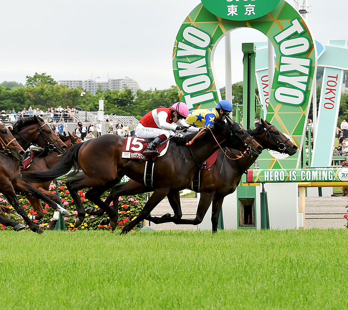 2024 Aoba sho  G2  Sugarkun Winner April 27, 2024 Horse Racing Race 11R Aoba sho, 1st place, No. 7, Sugar Kun  back right, blue hat , Yutaka Take, jockey Location Tokyo Racecourse