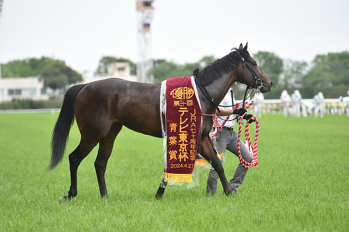 2024 Aoba sho  G2  Sugarkun Winner April 27, 2024 Horse Racing Race 11R Aoba sho, 1st place, No. 7, Sugarkun, Yutaka Take, jockey Location Tokyo Racecourse