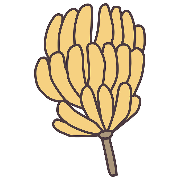 Clip art of banana in a simple deformed tree