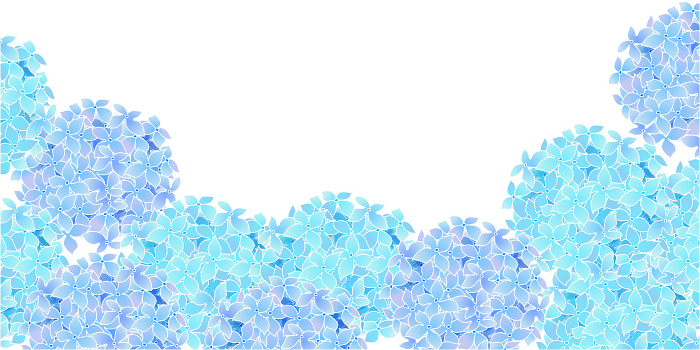 Hydrangea Rainy season Flower Background